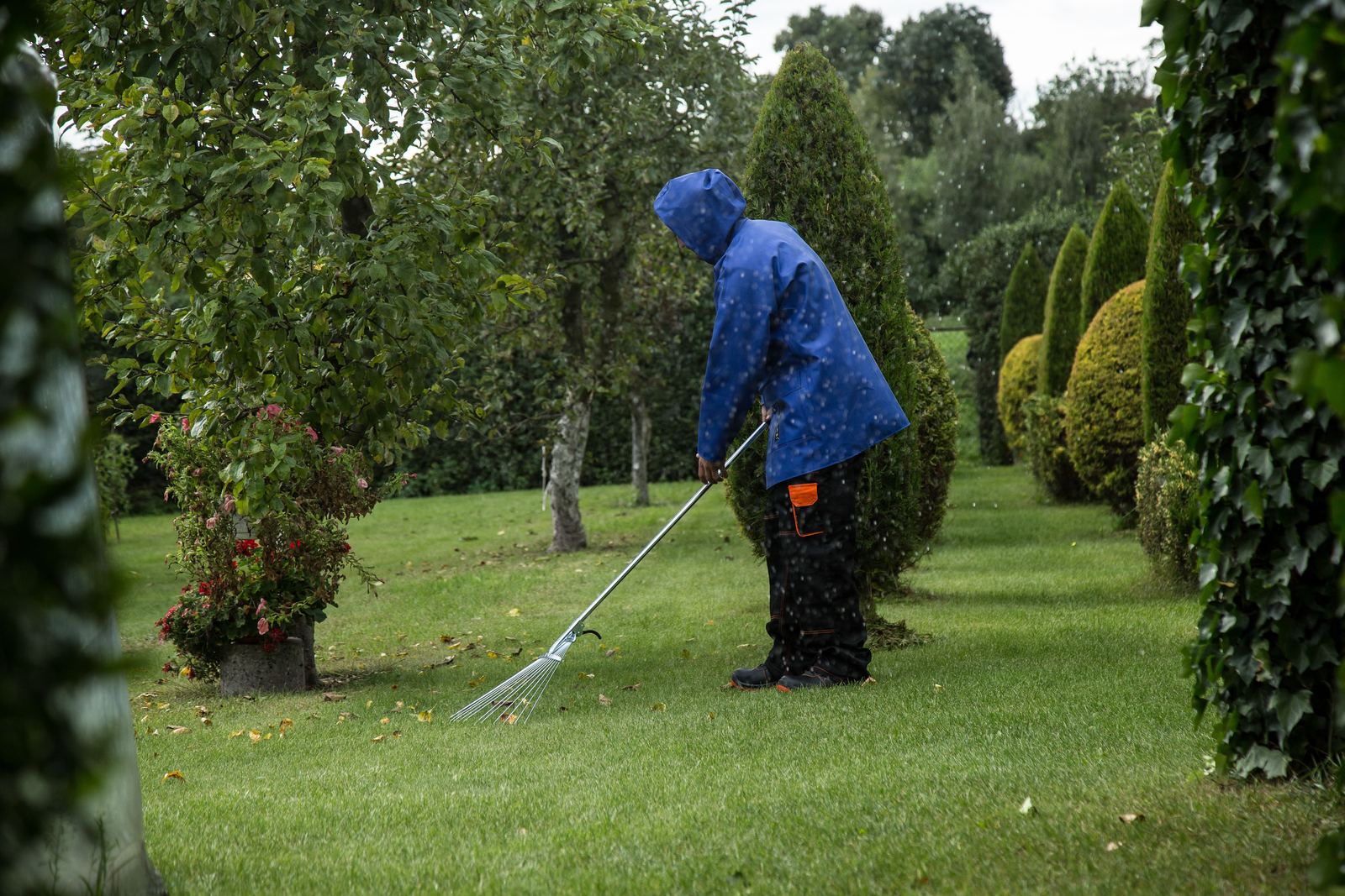 A groundskeeper raking leaves on a lawn